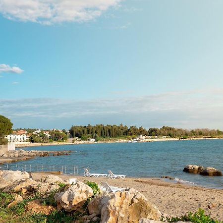 Apartments Branka زامبراتيجا المظهر الخارجي الصورة